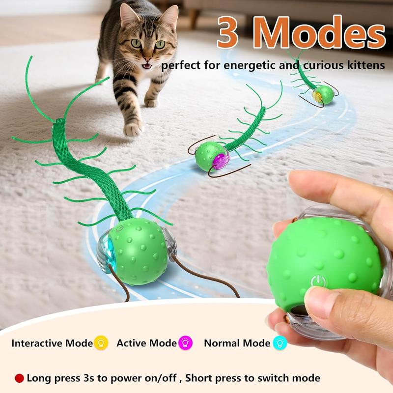 CatNamic™ Chase