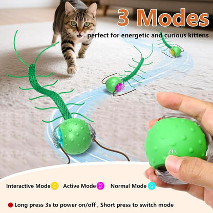 CatNamic™ Chase