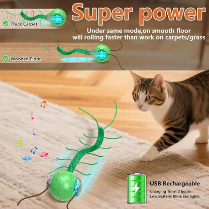 CatNamic™ Chase